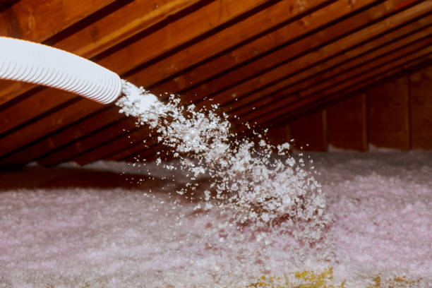 Best Insulation Replacement Services  in Littleton, CO