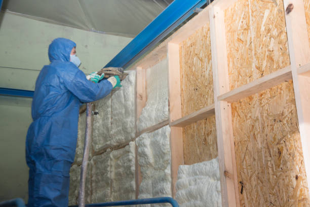 Best Insulation Contractor Near Me  in Littleton, CO