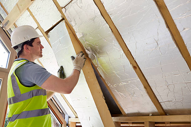 Best Cellulose Insulation  in Littleton, CO